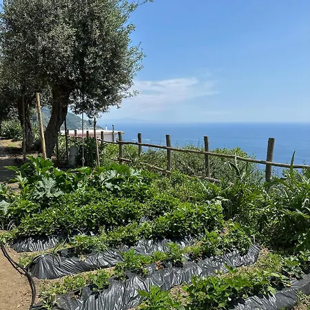 Il Libeccio Ferienhaus *