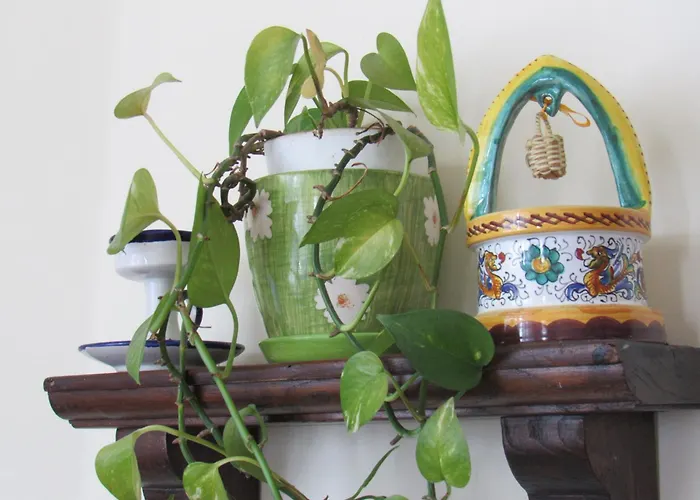 Il Libeccio Tatil Evi Positano