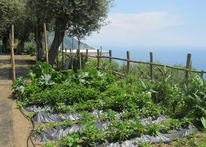 Il Libeccio * Positano