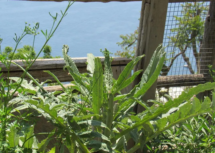 Tatil Evi Il Libeccio *