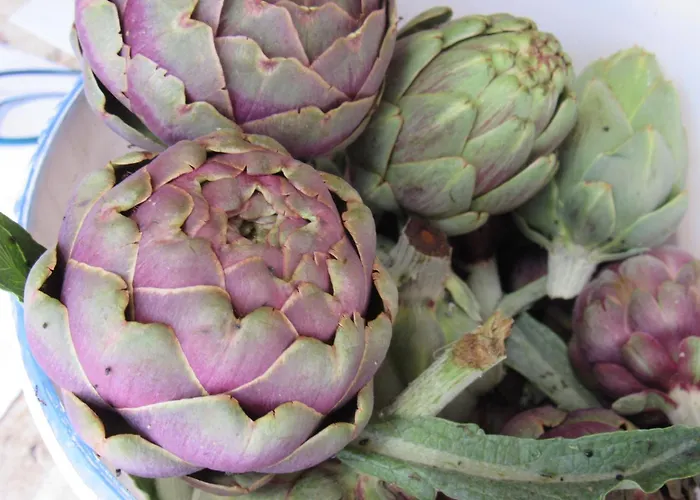 Tatil Evi Il Libeccio