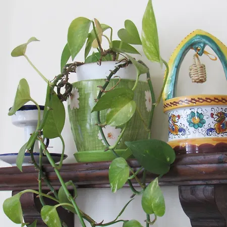 Il Libeccio 펜션 포지타노