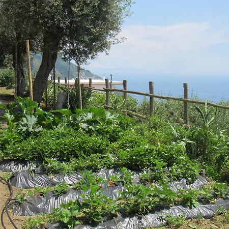 Il Libeccio * 波西塔諾