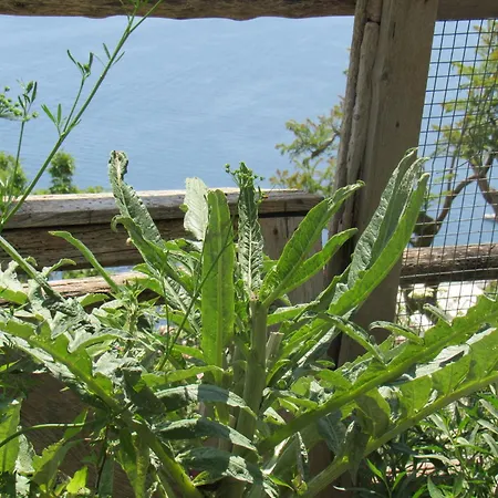 Casa vacanze Il Libeccio *