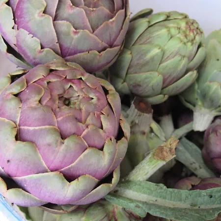 Casa vacanze Il Libeccio